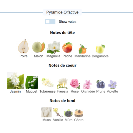 Agadas Africa–Vie de Rêve22 000 CFA