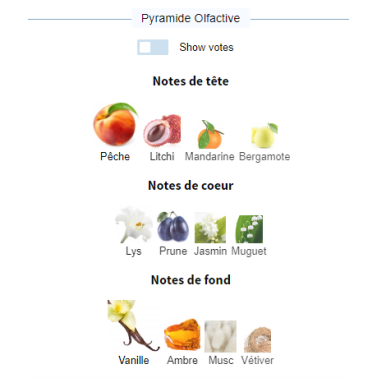 Agadas Africa–None22 000 CFA